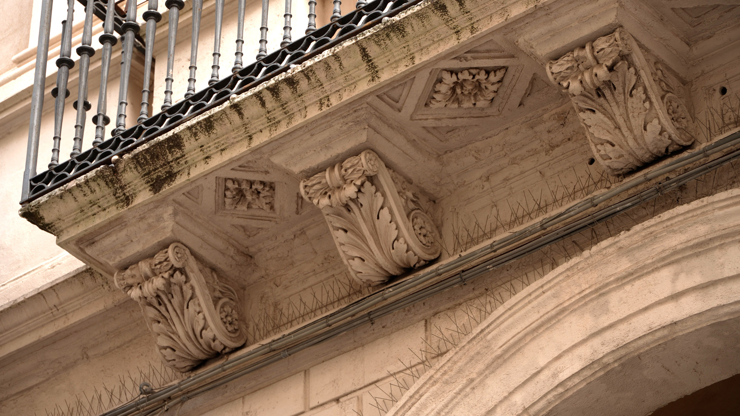 Decorazioni vegetali dei balconi del palazzo